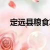 定遠(yuǎn)縣糧食志（關(guān)于定遠(yuǎn)縣糧食志介紹）