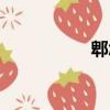 郫怎么讀（郫的讀音）