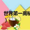 世界第一高橋在哪里（世界第一高橋是什么橋）