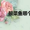 酸菜魚哪個地方的菜（酸菜魚的出處）