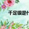 千足銀是什么意思（千足銀簡單介紹）