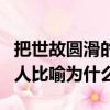 把世故圓滑的人比喻為什么（請問世故圓滑的人比喻為什么）