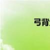 弓背魚（關(guān)于弓背魚介紹）