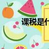 課稅是什么意思（課稅意思說明）