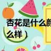 杏花是什么顏色和形狀（杏花顏色和形狀是什么樣）