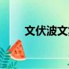 文伏波文集（關(guān)于文伏波文集簡(jiǎn)介）
