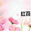 紅苕是什么（紅苕的簡(jiǎn)介）