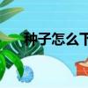 種子怎么下載（bt種子下載方法介紹）