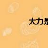 大力是什么意思（大力解釋）