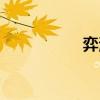 弈海（關(guān)于弈海介紹）