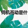 伺機而動是什么意思（伺機而動成語的解釋）