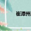 崔潭州表（關(guān)于崔潭州表簡介）