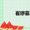 崔璆墓志（關(guān)于崔璆墓志簡(jiǎn)介）