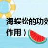 海蜈蚣的功效與作用（海蜈蚣有什么的功效與作用）