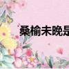 桑榆未晚是什么意思（桑榆未晚釋義）
