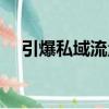 引爆私域流量（關于引爆私域流量介紹）