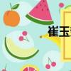 崔玉奎（關(guān)于崔玉奎簡(jiǎn)介）