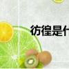 彷徨是什么意思（彷徨簡單釋義）