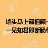 墻頭馬上遙相顧一見知君即斷腸什么意思（墻頭馬上遙相顧一見知君即斷腸什出自哪里）