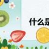什么是丁克族（關于丁克族）