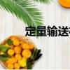 定量輸送機(jī)（關(guān)于定量輸送機(jī)介紹）