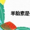 羊胎素是什么梗（羊胎素梗是什么）