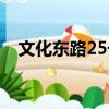 文化東路25號（關(guān)于文化東路25號簡介）