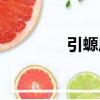 引螈屬（關(guān)于引螈屬介紹）