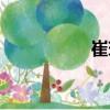 崔玥（關(guān)于崔玥簡介）