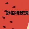 舒伯特玫瑰歌詞（舒伯特玫瑰歌曲簡(jiǎn)介）