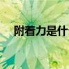 附著力是什么意思（附著力的意思介紹）