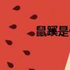 鼠蹊是什么部位（鼠蹊的簡介）