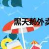 黑天鵝外賣是什么（黑天鵝外賣介紹）