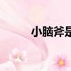 小腦斧是什么意思（小腦斧解釋）