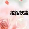 控?zé)熫泟?shì)力（關(guān)于控?zé)熫泟?shì)力簡(jiǎn)介）