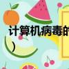 計(jì)算機(jī)病毒的危害（計(jì)算機(jī)病毒的危害是什么）