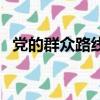 黨的群眾路線是什么（黨的群眾路線含義）
