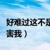 好難過這不是我要的結(jié)果什么歌（不要再來傷害我）