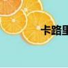 卡路里歌詞（卡路里歌簡(jiǎn)介）