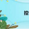 控卡（關(guān)于控卡簡介）