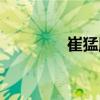 崔猛勝（關(guān)于崔猛勝簡介）