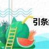 引條線（關(guān)于引條線介紹）