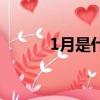 1月是什么座的（1月所屬星座）