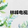 林峰電視?。址咫娨晞《加心男? title=