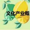 文化產(chǎn)業(yè)概論（關(guān)于文化產(chǎn)業(yè)概論簡(jiǎn)介）