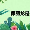 保麗龍是什么意思（保麗龍的簡(jiǎn)介）