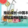 推動成長-中國本土營銷案例經(jīng)典（關(guān)于推動成長-中國本土營銷案例經(jīng)典簡介）