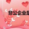 非公企業(yè)是什么意思（非公企業(yè)解釋）