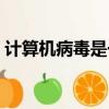 計(jì)算機(jī)病毒是一種什么（計(jì)算機(jī)病毒的介紹）