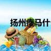 揚州瘦馬什么意思呢（揚州瘦馬的解釋）